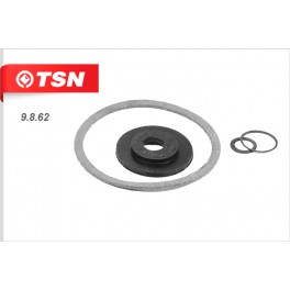 9.8.62 топливный фильтр TSN