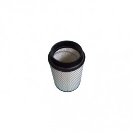 SL12955 Воздушный фильтр SF-FILTER