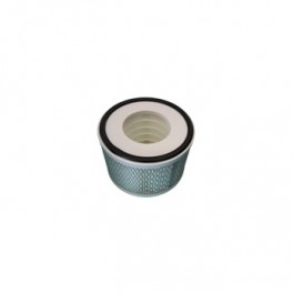 SKL46434 Салонный фильтр SF-FILTER