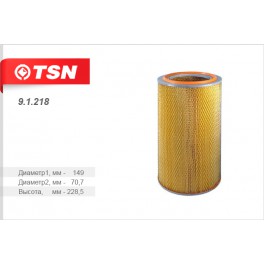 9.1.218 фильтр воздушный TSN