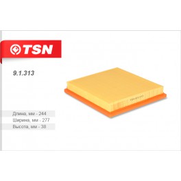 9.1.313 фильтр воздушный панельный TSN